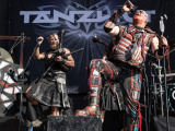 Tanzwut - Feuertanz Festival 2025