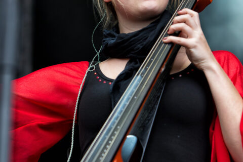 Vermaledeyt_FT2013_09